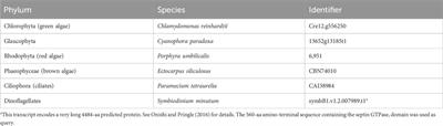 The evolutionary origins and ancestral features of septins